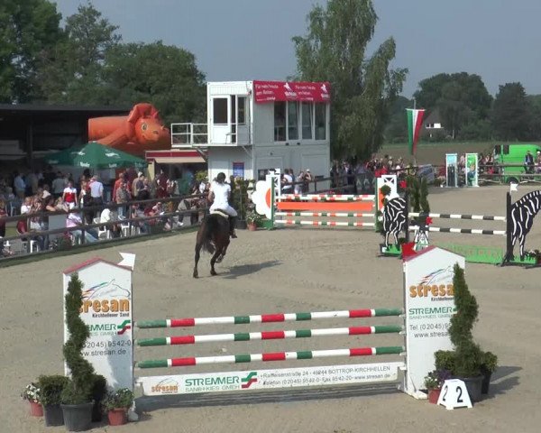 Reitturnier Kirchhellen/Stall Dieckmann 2016