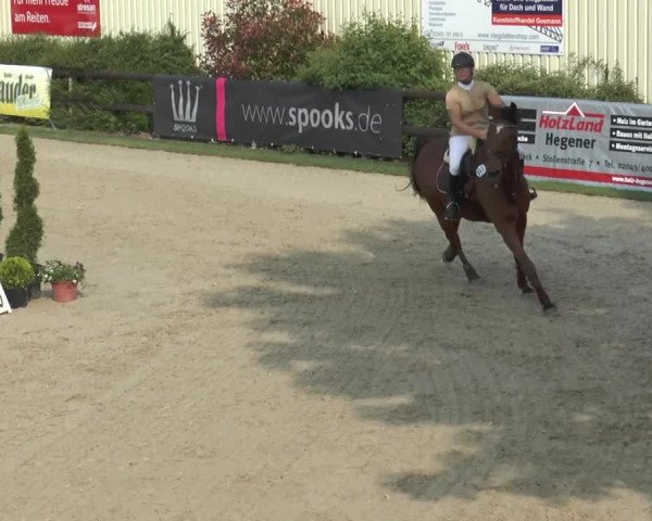 Reitturnier Kirchhellen/Stall Dieckmann 2016