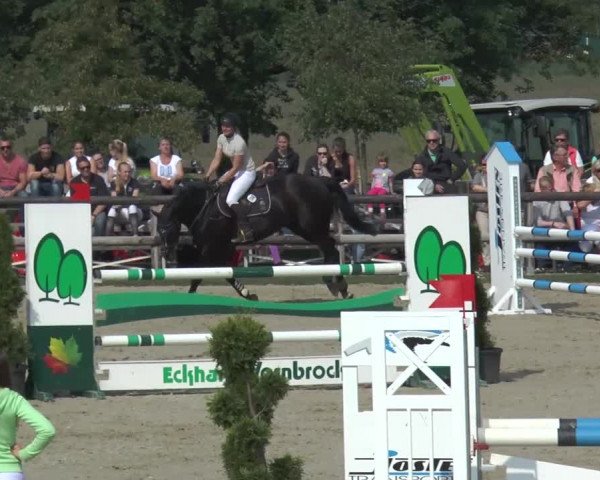 Reitturnier Kirchhellen/Stall Dieckmann 2016