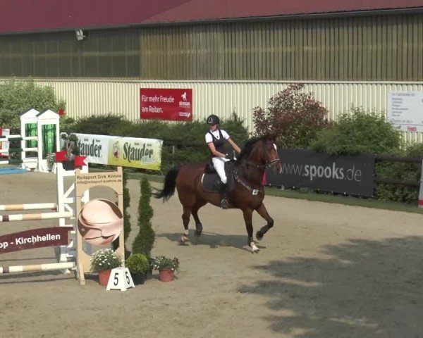 Reitturnier Kirchhellen/Stall Dieckmann 2016