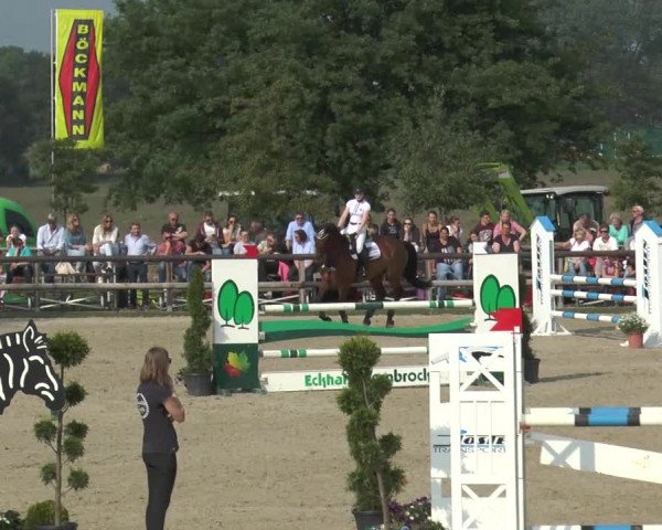 Reitturnier Kirchhellen/Stall Dieckmann 2016