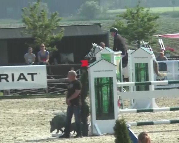 Reitturnier Kirchhellen/Stall Dieckmann 2016