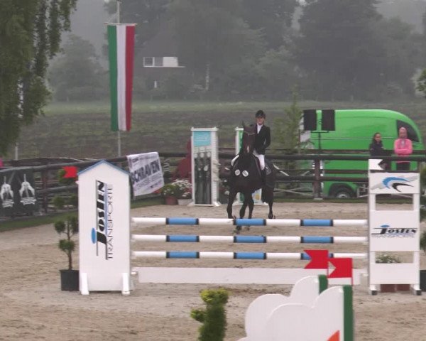 Reitturnier Kirchhellen/Stall Dieckmann 2016