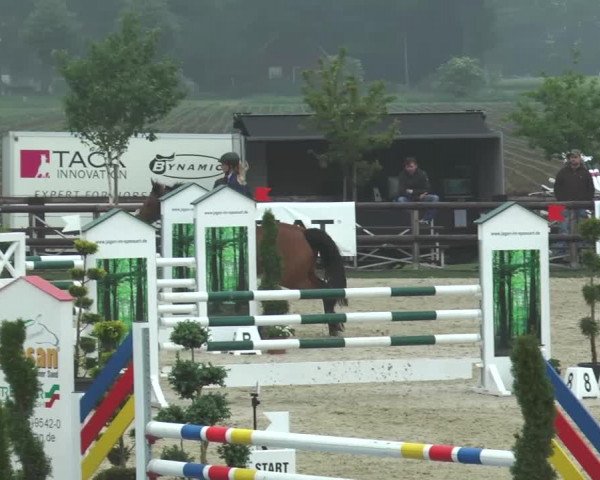 Reitturnier Kirchhellen/Stall Dieckmann 2016