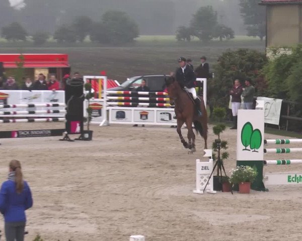 Reitturnier Kirchhellen/Stall Dieckmann 2016