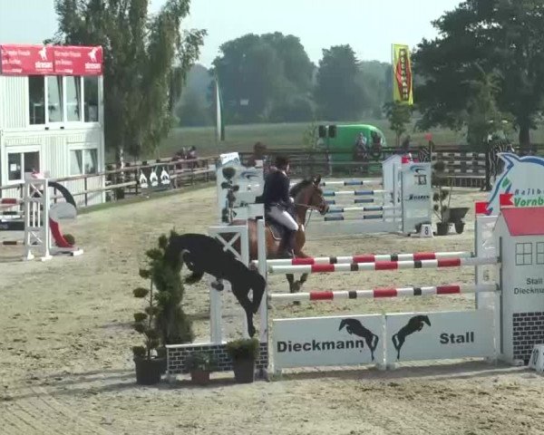 Reitturnier Kirchhellen/Stall Dieckmann 2016