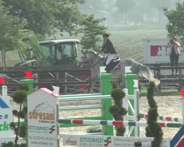 Reitturnier Kirchhellen/Stall Dieckmann 2016