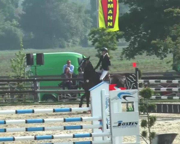 Reitturnier Kirchhellen/Stall Dieckmann 2016