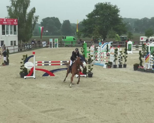 Reitturnier Kirchhellen/Stall Dieckmann 2016