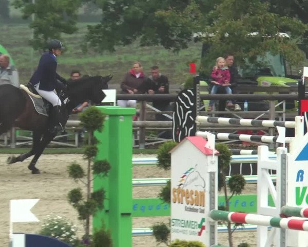 Reitturnier Kirchhellen/Stall Dieckmann 2016
