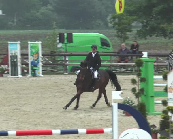 Reitturnier Kirchhellen/Stall Dieckmann 2016