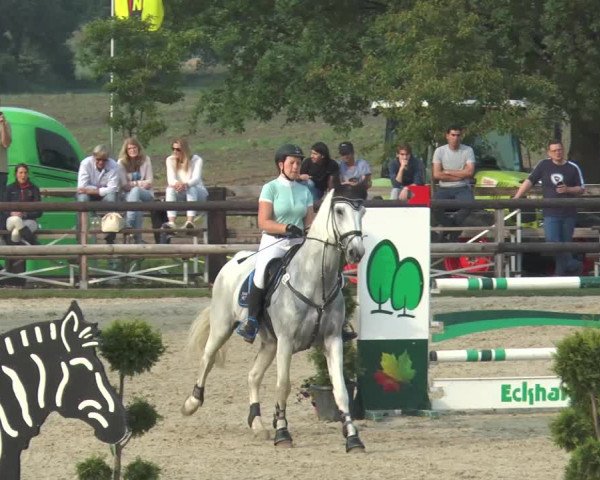 Reitturnier Kirchhellen/Stall Dieckmann 2016