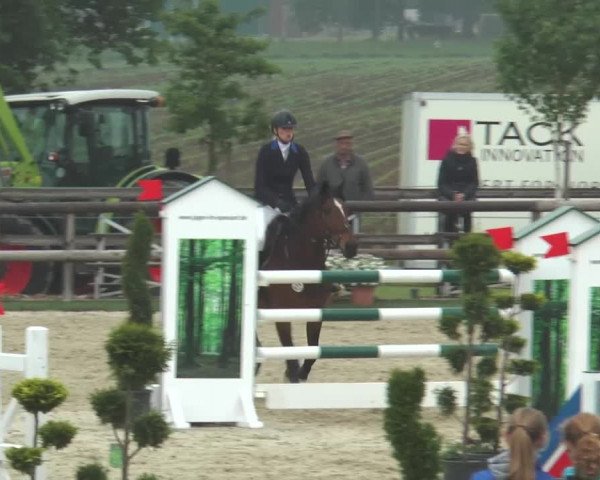 Reitturnier Kirchhellen/Stall Dieckmann 2016