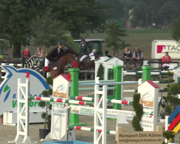 Reitturnier Kirchhellen/Stall Dieckmann 2016