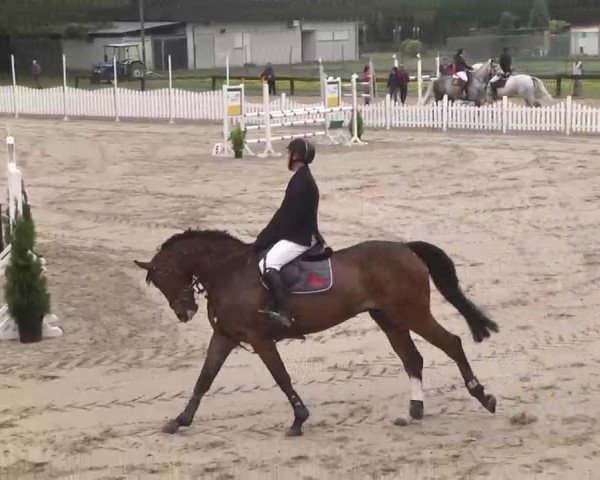 Reitturnier Kleinostheim 2016