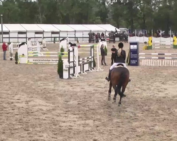 Reitturnier Kleinostheim 2016
