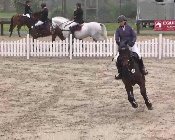 Reitturnier Kleinostheim 2016