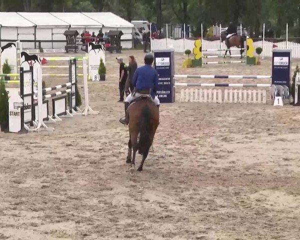 Reitturnier Kleinostheim 2016
