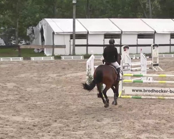 Reitturnier Kleinostheim 2016
