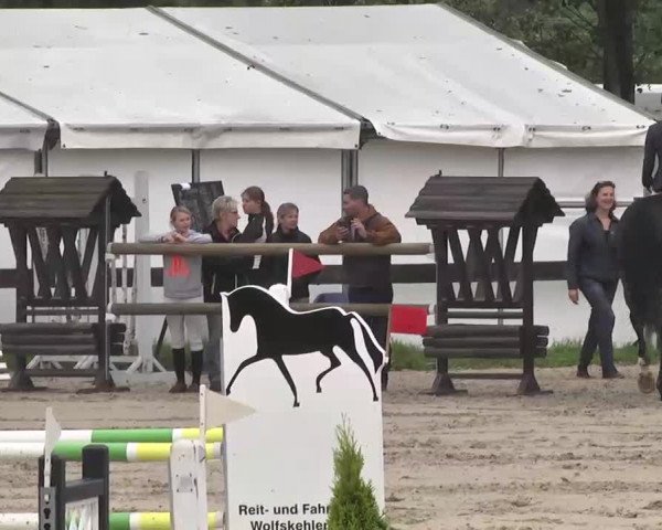 Reitturnier Kleinostheim 2016