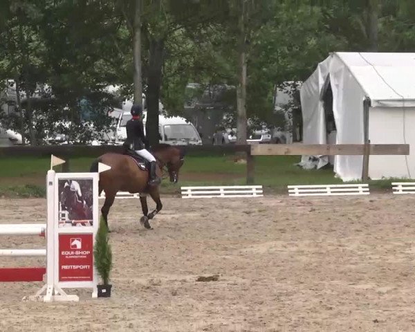 Reitturnier Kleinostheim 2016