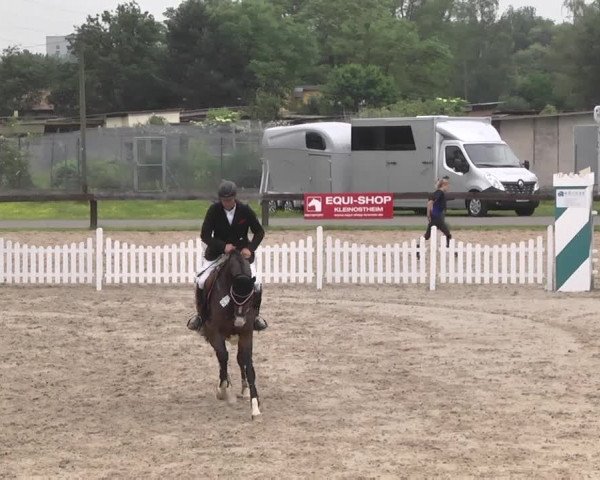Reitturnier Kleinostheim 2016