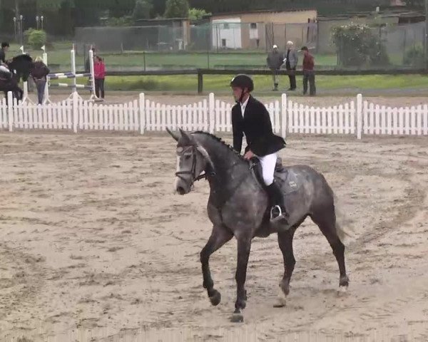 Reitturnier Kleinostheim 2016