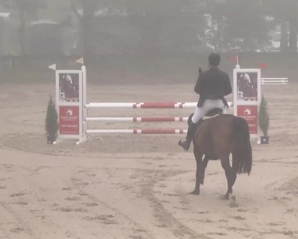 Reitturnier Kleinostheim 2016