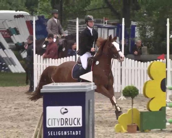 Reitturnier Kleinostheim 2016