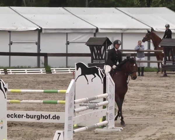 Reitturnier Kleinostheim 2016