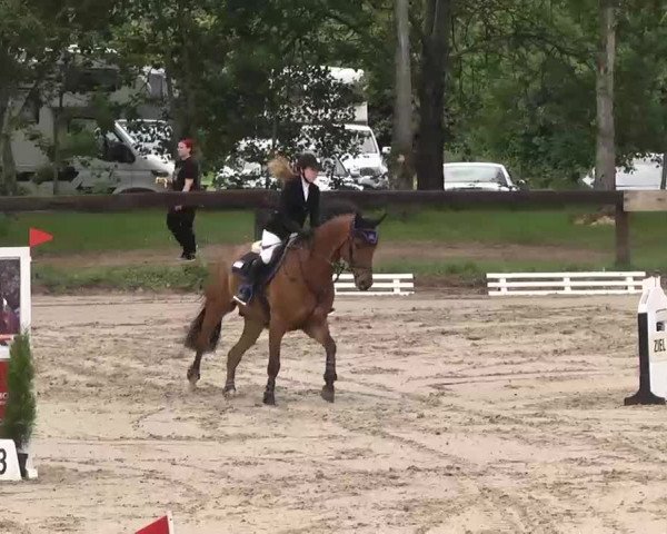 Reitturnier Kleinostheim 2016