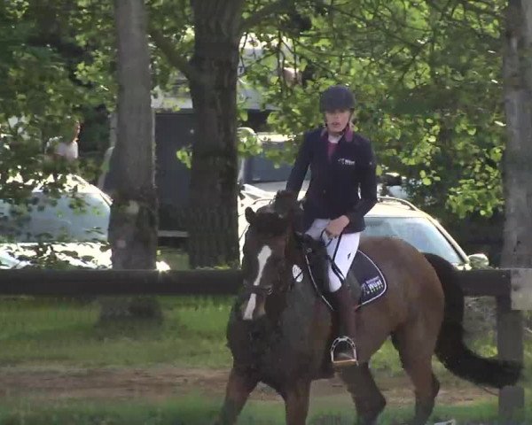 Reitturnier Kleinostheim 2016