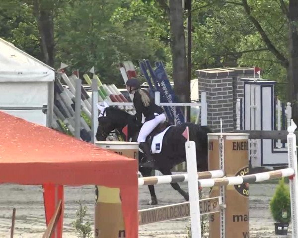Reitturnier Kleinostheim 2016