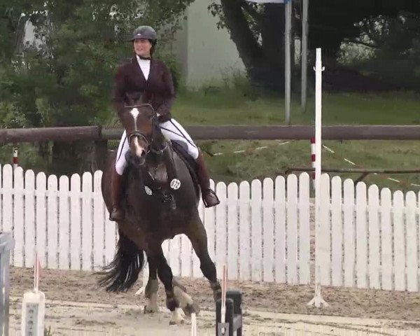 Reitturnier Kleinostheim 2016