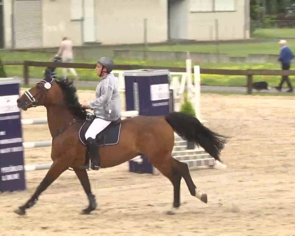 Reitturnier Kleinostheim 2016