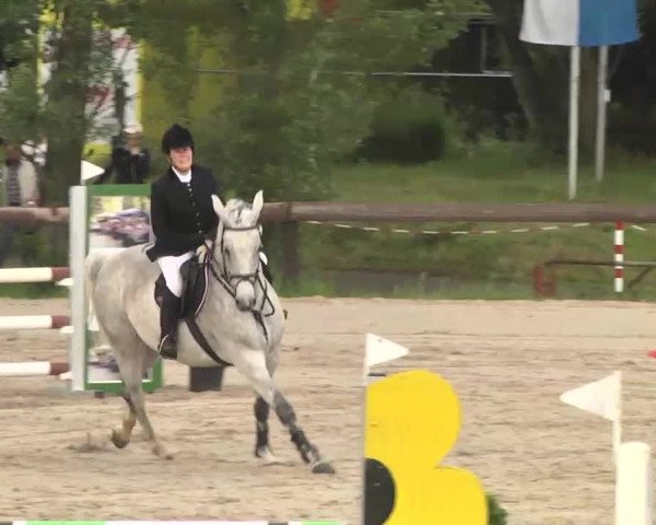 Reitturnier Kleinostheim 2016
