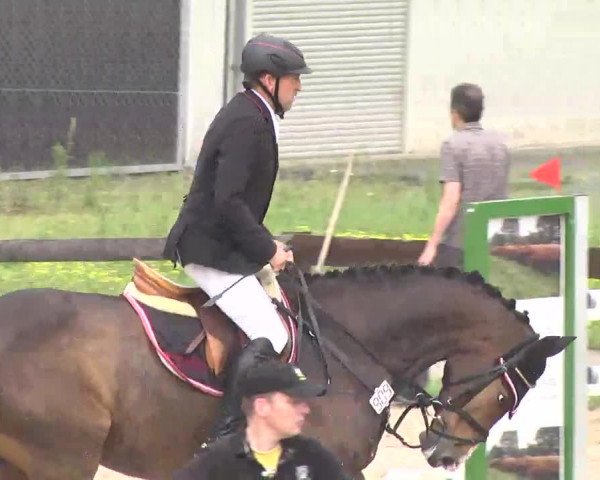 Reitturnier Kleinostheim 2016