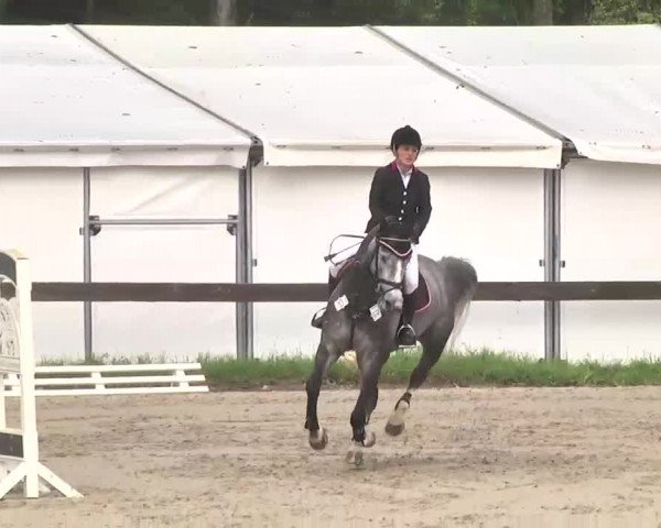 Reitturnier Kleinostheim 2016