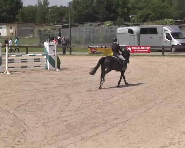 Reitturnier Kleinostheim 2016