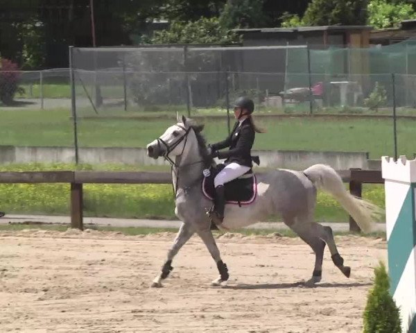 Reitturnier Kleinostheim 2016