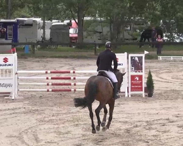 Reitturnier Kleinostheim 2016
