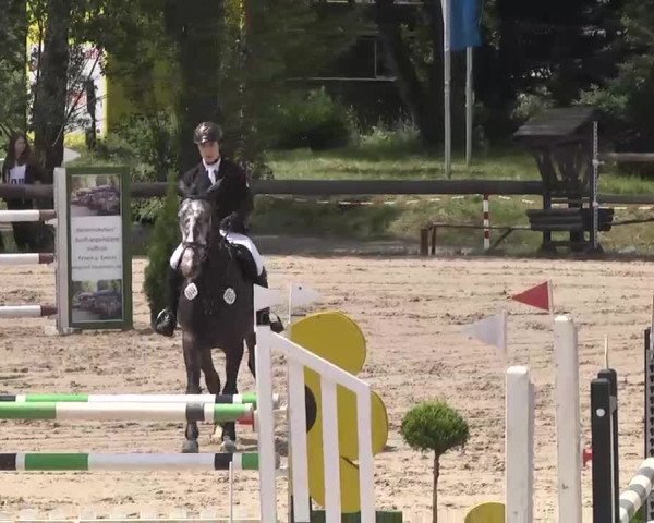 Reitturnier Kleinostheim 2016