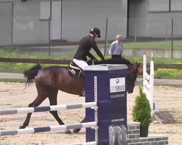 Reitturnier Kleinostheim 2016