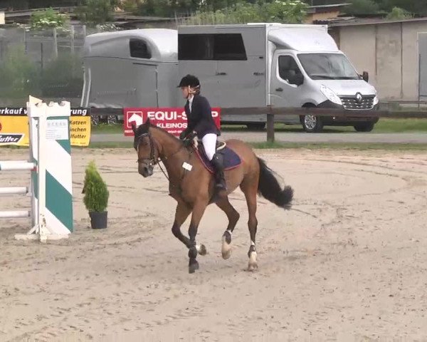 Reitturnier Kleinostheim 2016