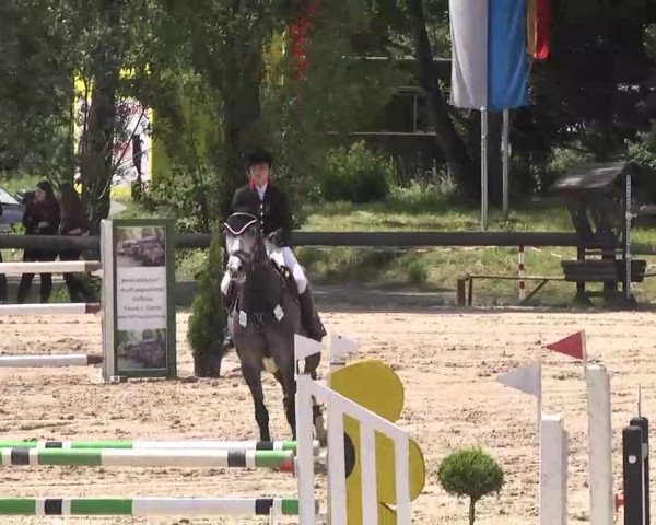 Reitturnier Kleinostheim 2016