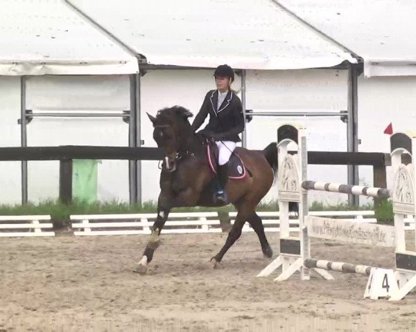Reitturnier Kleinostheim 2016