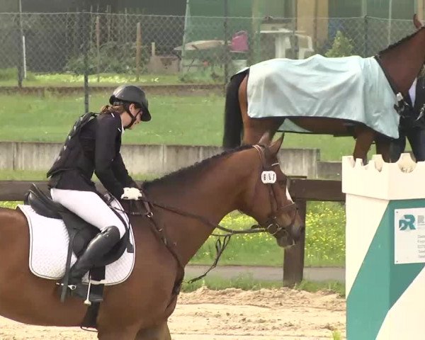 Reitturnier Kleinostheim 2016