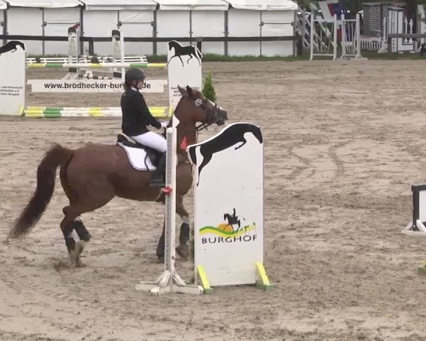 Reitturnier Kleinostheim 2016