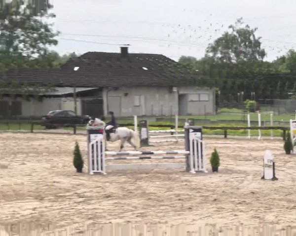 Reitturnier Kleinostheim 2016