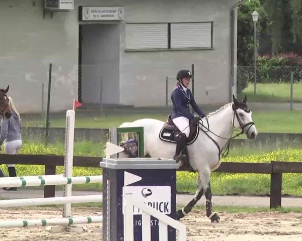 Reitturnier Kleinostheim 2016